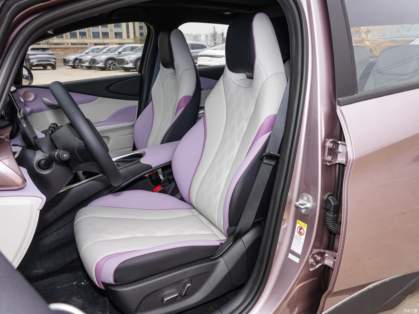 BYD Dolphin 产品详情页图 6 BYD Dolphin